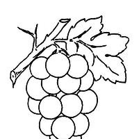 Desenho de Cacho de uvas para colorir