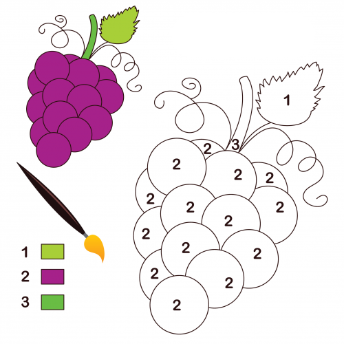 Featured image of post Desenho De Cacho De Uva Para Colorir N o deixe de conferir tamb m algumas atividades educativas sobre a p scoa e