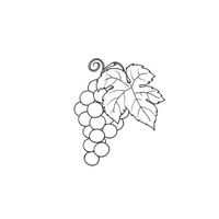 Desenho de Cachinho de uvas verdes para colorir