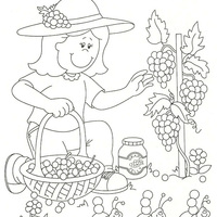 Desenho de Menina colhendo uvas para colorir