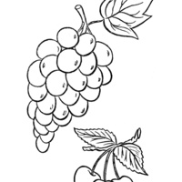 Desenho de Uvas grandes para colorir