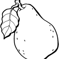 Desenho de Pera fruta para colorir