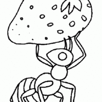 Desenho de Formiga carregando morango para colorir