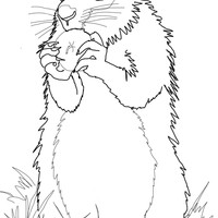 Desenho de Marmota comendo maçãs para colorir