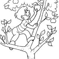 Desenho de Menino pegando maçã na macieira para colorir