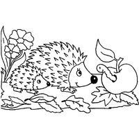 Desenho de Porco-espinho e bicho da maçã conversando para colorir