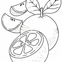 Desenho de Laranjas fruta para colorir