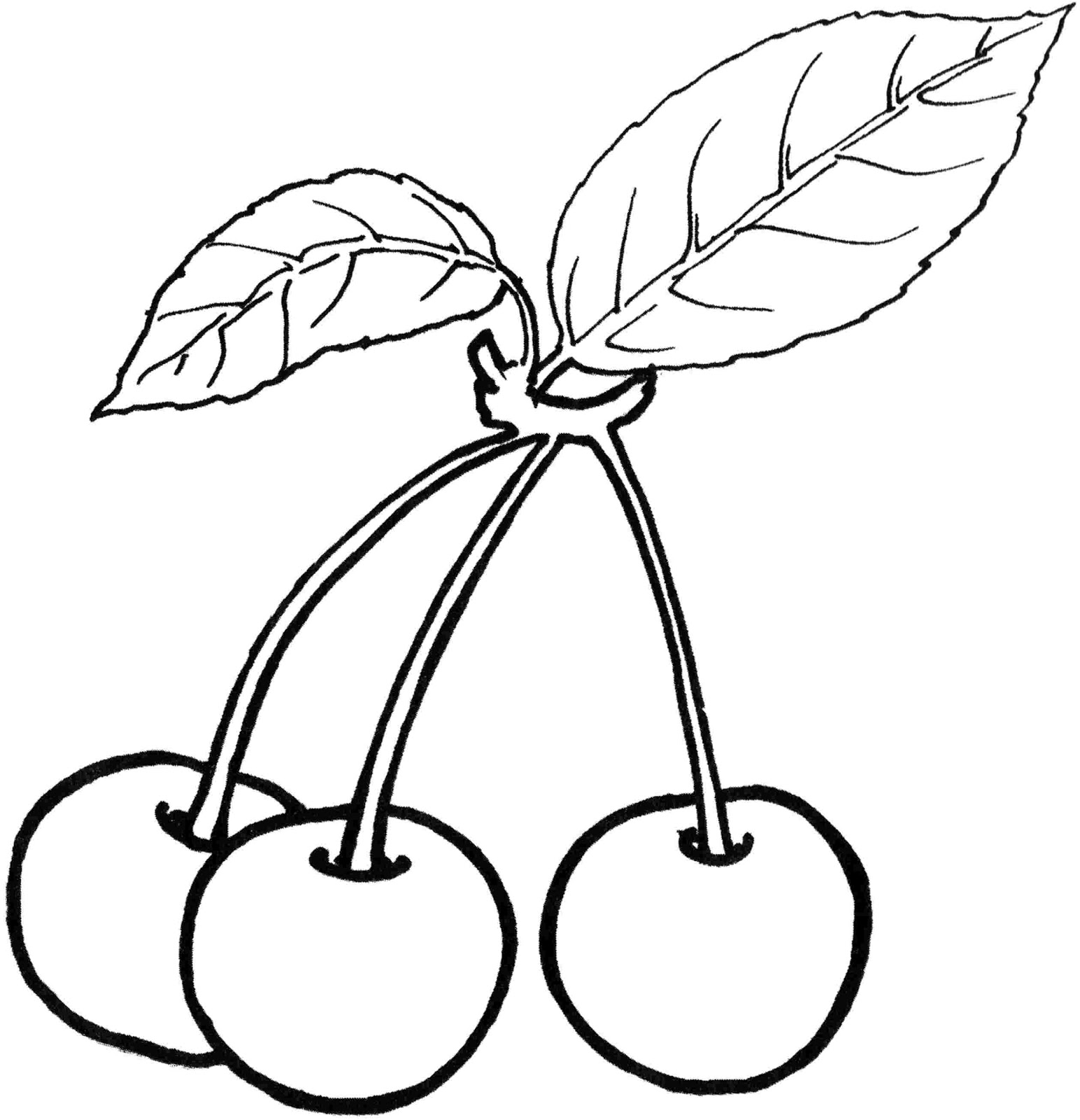 Desenho de Cerejas para Colorir - Frutas para Imprimir e Pintar