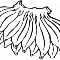 Desenho de Cacho de bananas para colorir