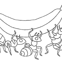 Desenho de Formigas carregando banana para colorir