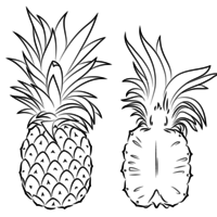 Desenho de Abacaxi cortado ao meio para colorir