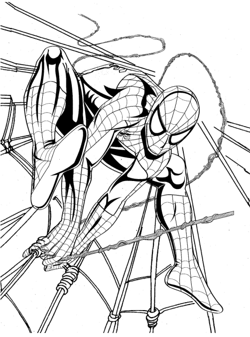 Spiderman agachado na teia