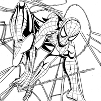 Desenho de Spiderman agachado na teia para colorir
