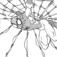 Desenho de Spiderman em sua teia para colorir