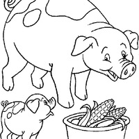 Desenho de Papai porco para colorir
