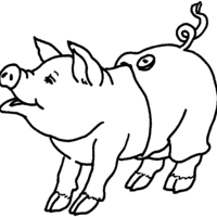 Desenho de Porco com bermudinha para colorir