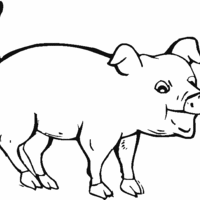 Desenho de Porco com boca aberta para colorir