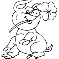 Desenho de Porco e flor para colorir