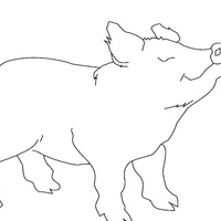 Desenho de Porco lindo para colorir