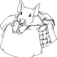 Desenho de Porco na cesta para colorir