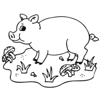 Desenho de Porco na granja para colorir