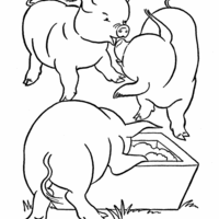 Desenho de Porcos comendo para colorir