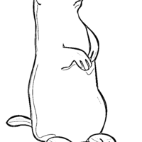 Desenho de Marmota sobre duas patas para colorir