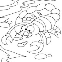 Desenho de Escorpião na beira do rio para colorir
