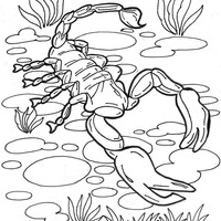 Desenho de Escorpião no rio para colorir