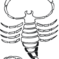 Desenho de Esqueleto do escorpião para colorir