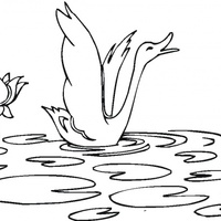 Desenho de Cisne com asas abertas para colorir