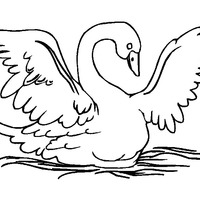 Desenho de Cisne fofo para colorir