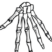 Desenho de Esqueleto da mão para colorir