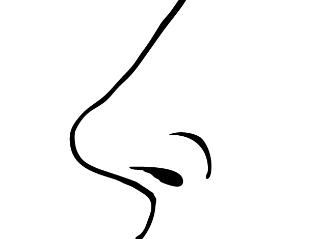 Desenho de Nariz pequeno para colorir - Tudodesenhos 