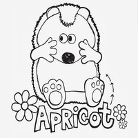 Desenho de Apricot de Timmy e seus amigos para colorir