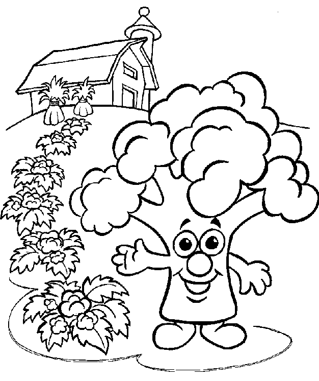 Aspargos na horta de casa