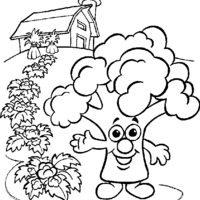Desenho de Aspargos na horta de casa para colorir