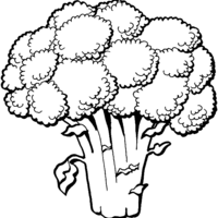 Desenho de Brócolis para colorir