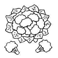 Desenho de Couve-flor para colorir