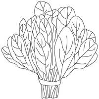 Desenho de Espinafre verdura para colorir