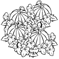 Desenho de Abóbora cortada para colorir