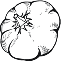 Desenho de Abóbora grande para colorir