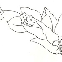 Desenho de Cacho de pimenta para colorir