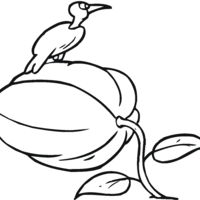 Desenho de Corvo e abóbora para colorir