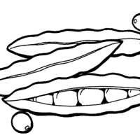 Desenho de Ervilha vegetal para colorir