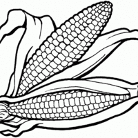 Desenho de Espigas de milho para colorir