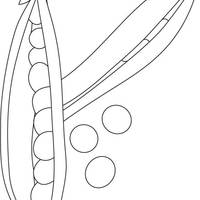 Desenho de Grãos de ervilha para colorir