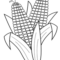 Desenho de Milho para colorir