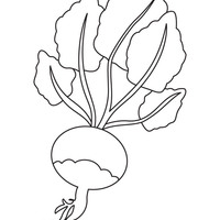 Desenho de Nabo vegetal para colorir