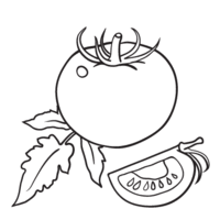 Desenho de Pedaço de tomate para colorir